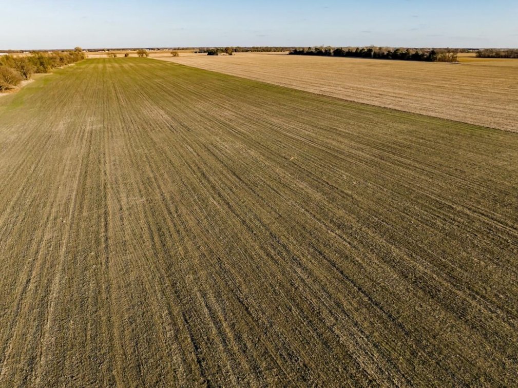 74 Acres Sedgwick County, Kansas Tillable Farm Ground Near Bentley photo 5