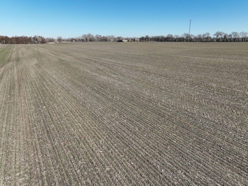 52+- Acres Harvey County Tillable Farm Ground on the East Border of Sedgwick, Kansas photo 4