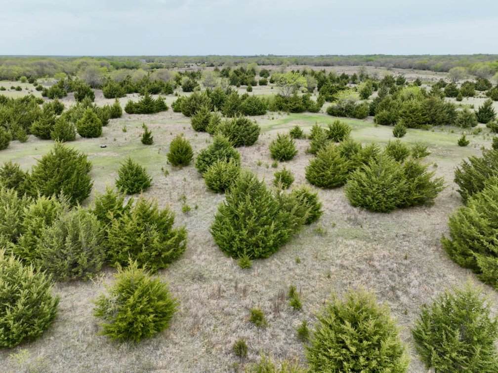 8630 SE 30th St, El Dorado, KS 67042: 18+- Acres, Pond, Trees, Rural Water photo 4