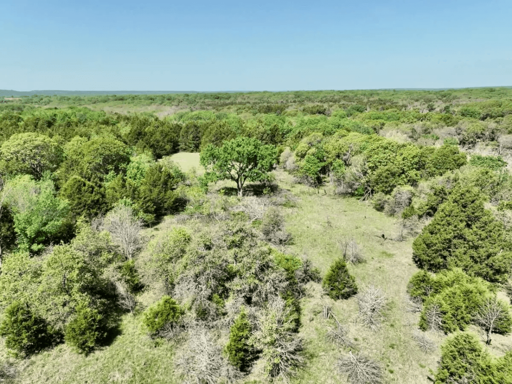 34 Acres South Of Sedan In Chautauqua County, Kansas Near The Oklahoma Border photo 2
