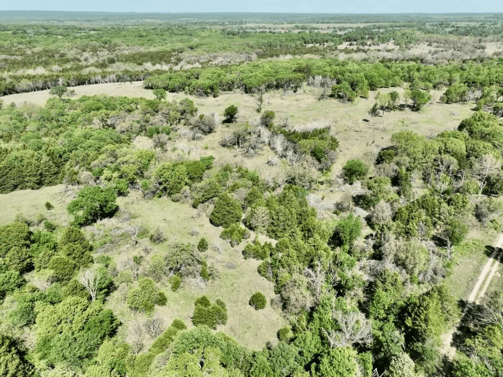 34 Acres South Of Sedan In Chautauqua County, Kansas Near The Oklahoma Border photo 6
