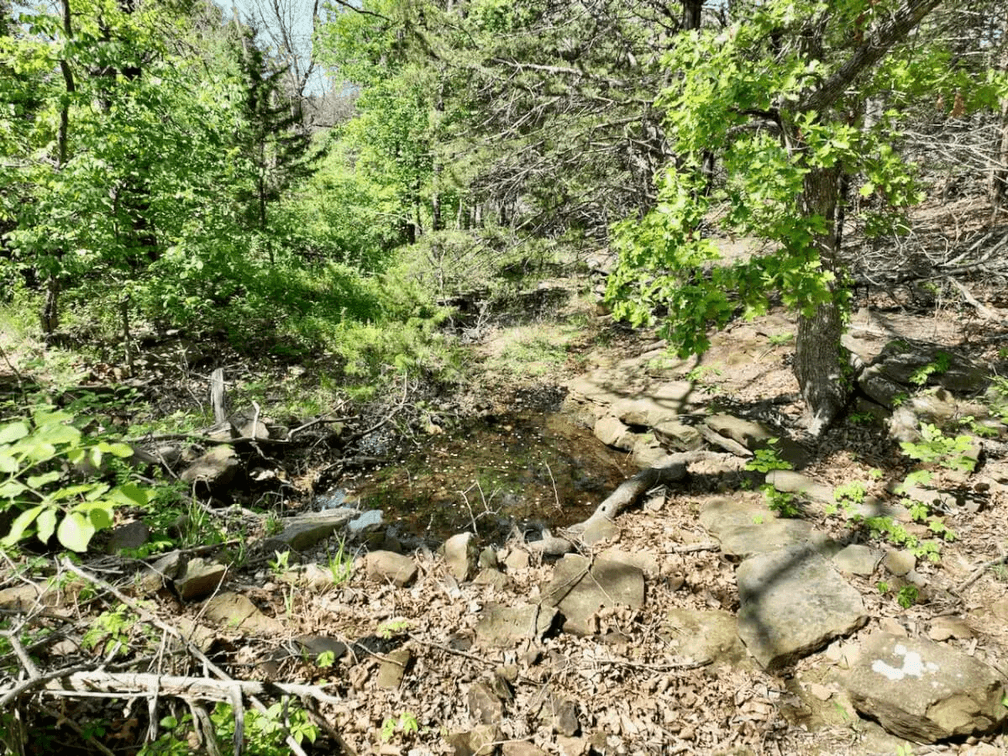 34 Acres South Of Sedan In Chautauqua County, Kansas Near The Oklahoma Border photo 4