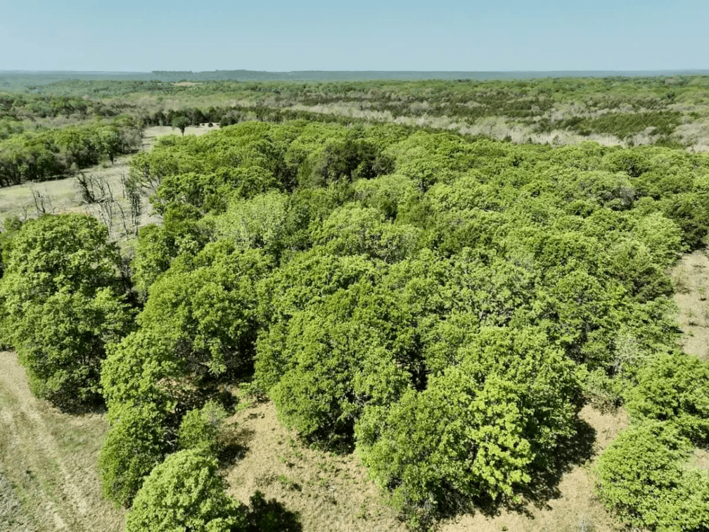 34 Acres South Of Sedan In Chautauqua County, Kansas Near The Oklahoma Border photo 7