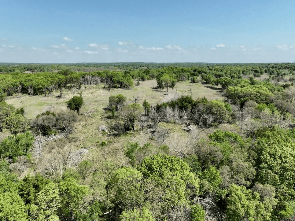 34 Acres South Of Sedan In Chautauqua County, Kansas Near The Oklahoma Border photo 10