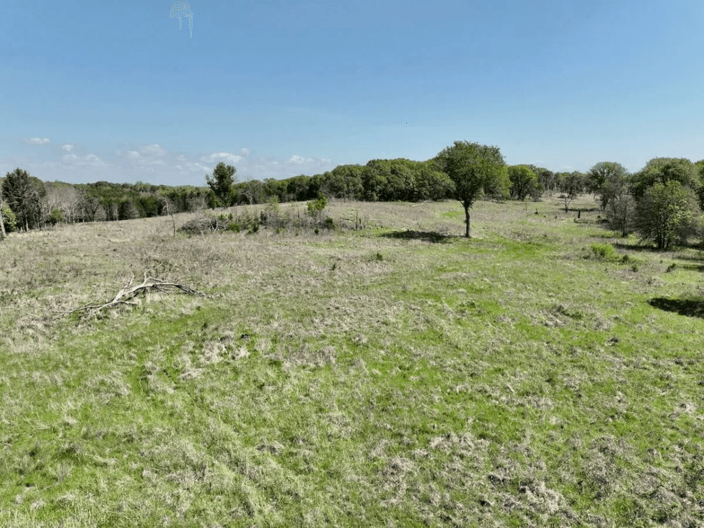 34 Acres South Of Sedan In Chautauqua County, Kansas Near The Oklahoma Border photo 8