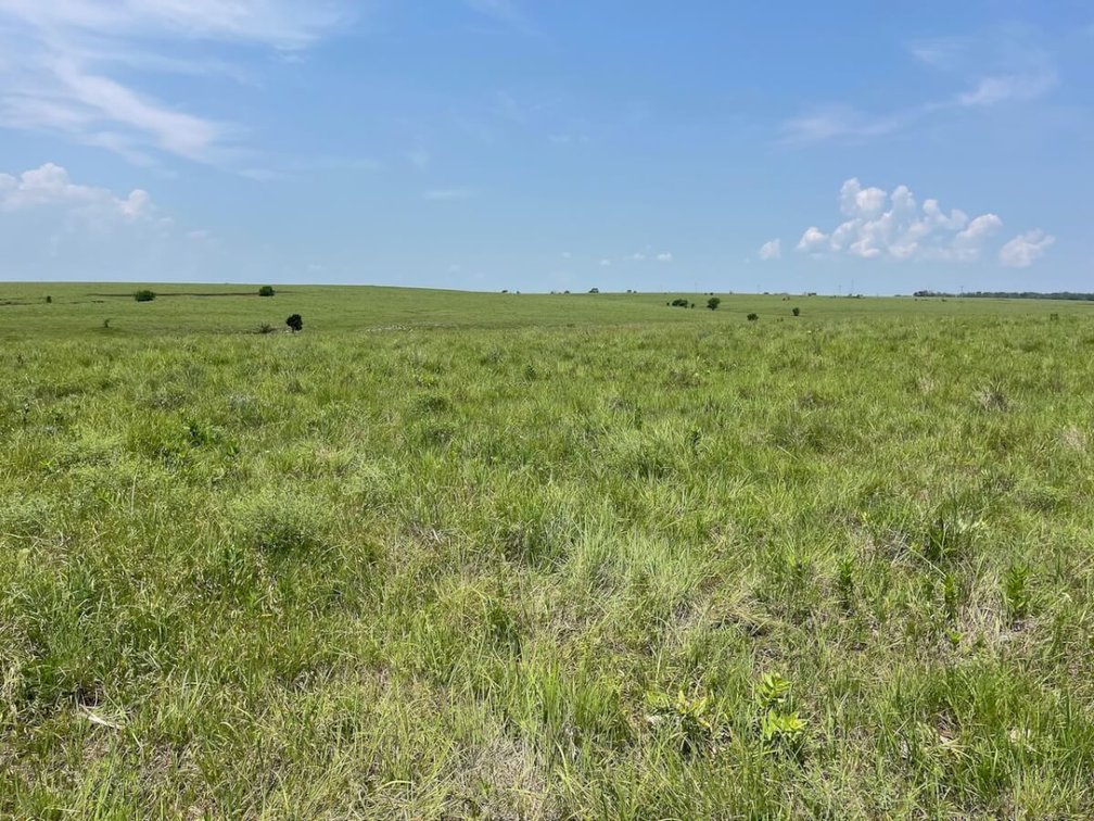 301.6 Acres Of Native Flint Hills Pasture W/ Badger Creek Southeast of Winfield in Cowley County, Kansas photo 5
