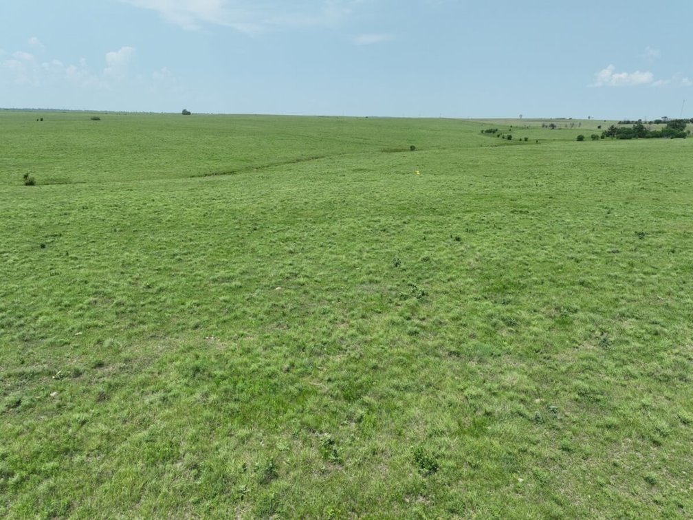 301.6 Acres Of Native Flint Hills Pasture W/ Badger Creek Southeast of Winfield in Cowley County, Kansas photo 7