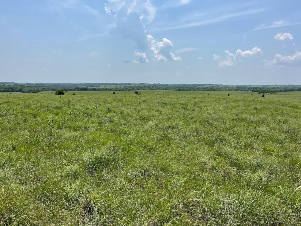301.6 Acres Of Native Flint Hills Pasture W/ Badger Creek Southeast of Winfield in Cowley County, Kansas photo 2
