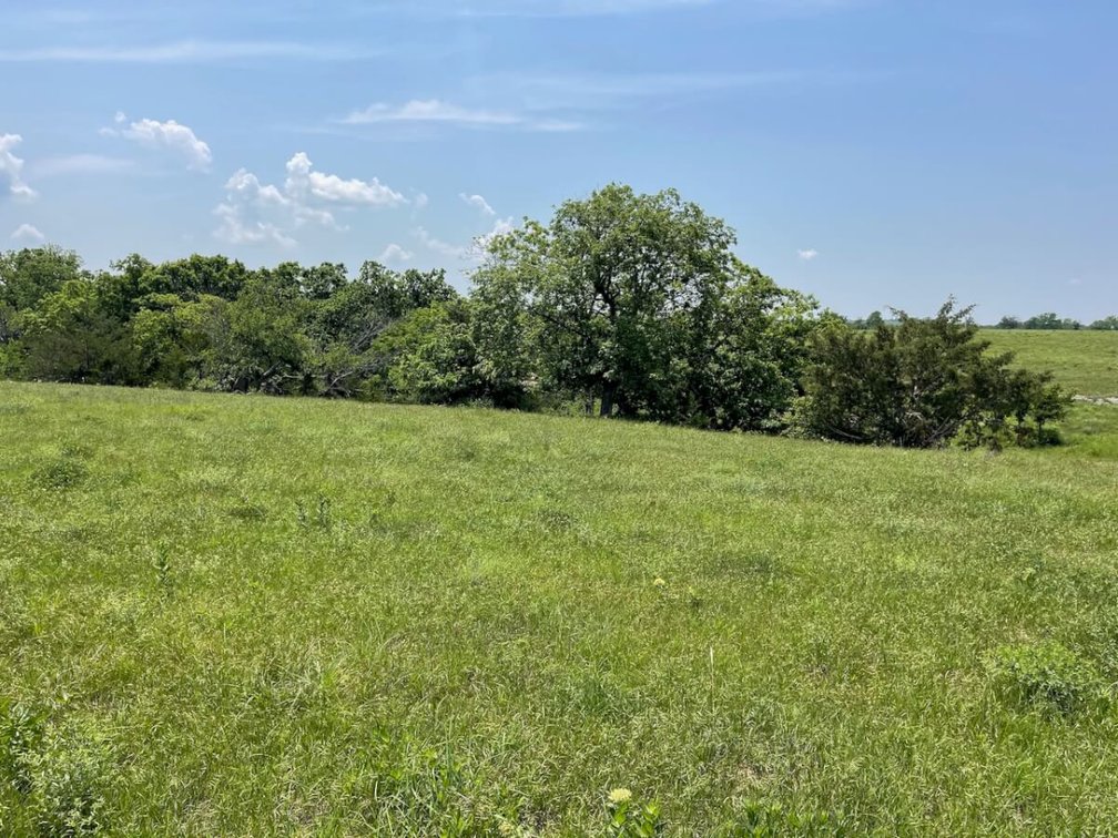 301.6 Acres Of Native Flint Hills Pasture W/ Badger Creek Southeast of Winfield in Cowley County, Kansas photo 3