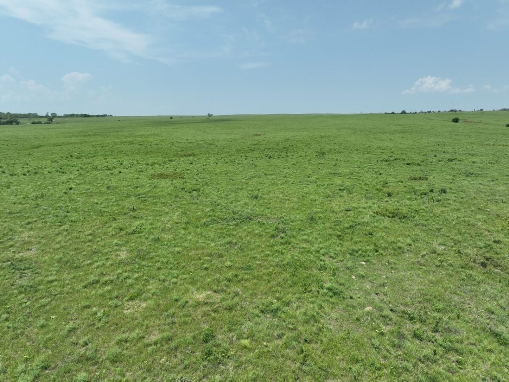 301.6 Acres Of Native Flint Hills Pasture W/ Badger Creek Southeast of Winfield in Cowley County, Kansas photo 10