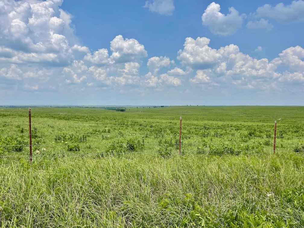 595 Acres Native Flint Hills Pasture Near Madison in Greenwood County, Kansas photo 4