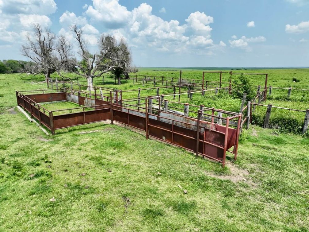 595 Acres Native Flint Hills Pasture Near Madison in Greenwood County, Kansas photo 7