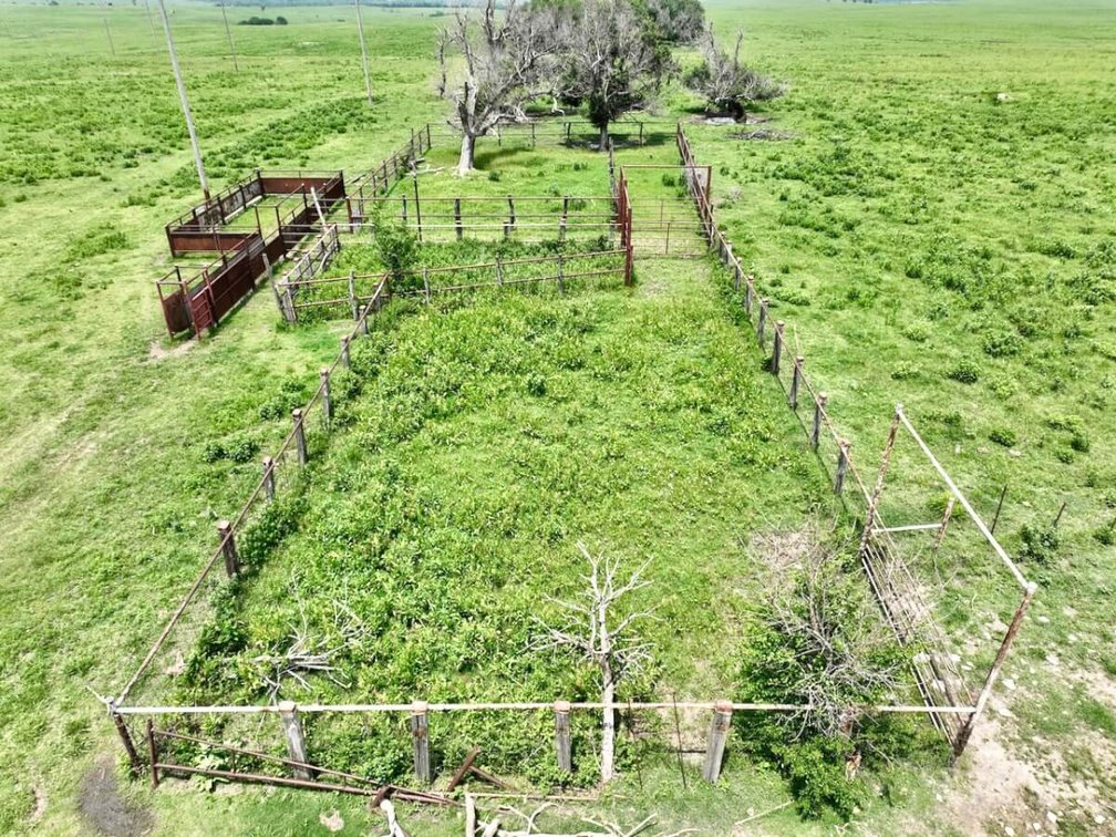 595 Acres Native Flint Hills Pasture Near Madison in Greenwood County, Kansas photo 8