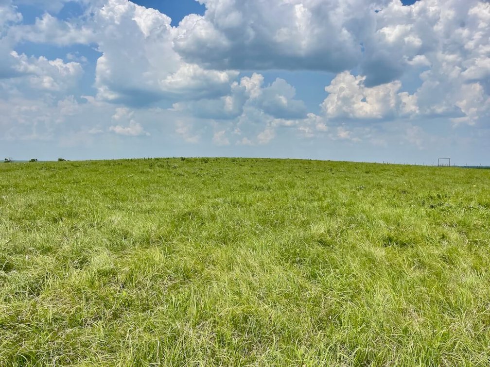 595 Acres Native Flint Hills Pasture Near Madison in Greenwood County, Kansas photo 3