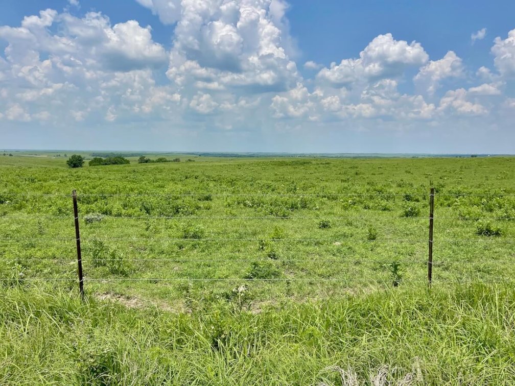 595 Acres Native Flint Hills Pasture Near Madison in Greenwood County, Kansas photo 10