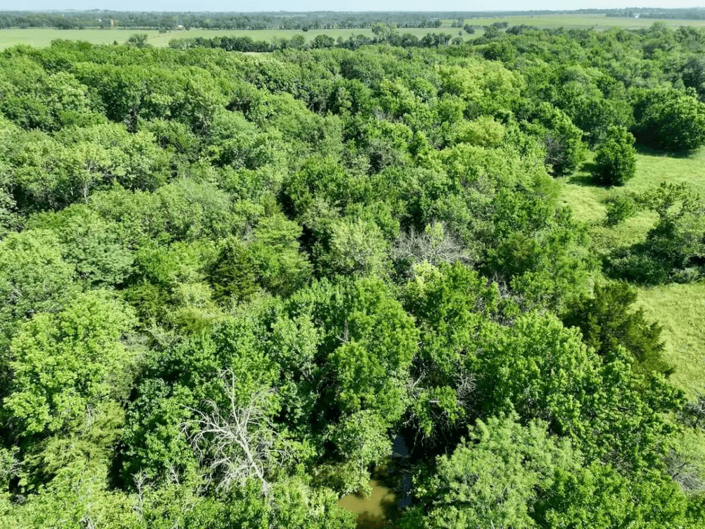 75 Acres Between Madison & Hamilton on HWY 99 in Greenwood County, Kansas photo 4