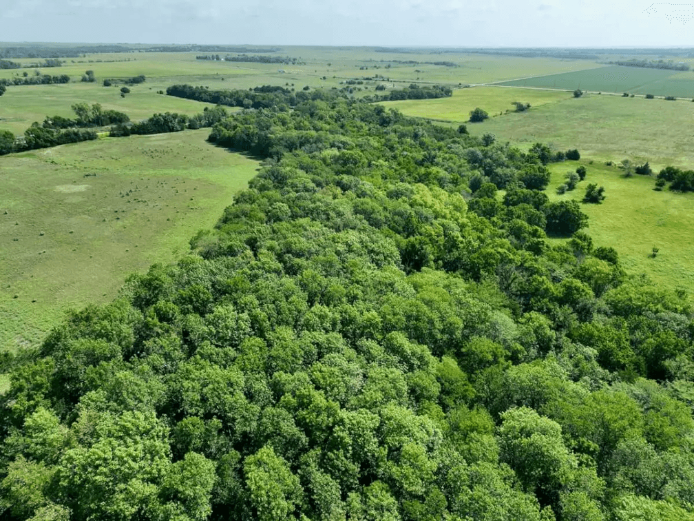 75 Acres Between Madison & Hamilton on HWY 99 in Greenwood County, Kansas photo 5