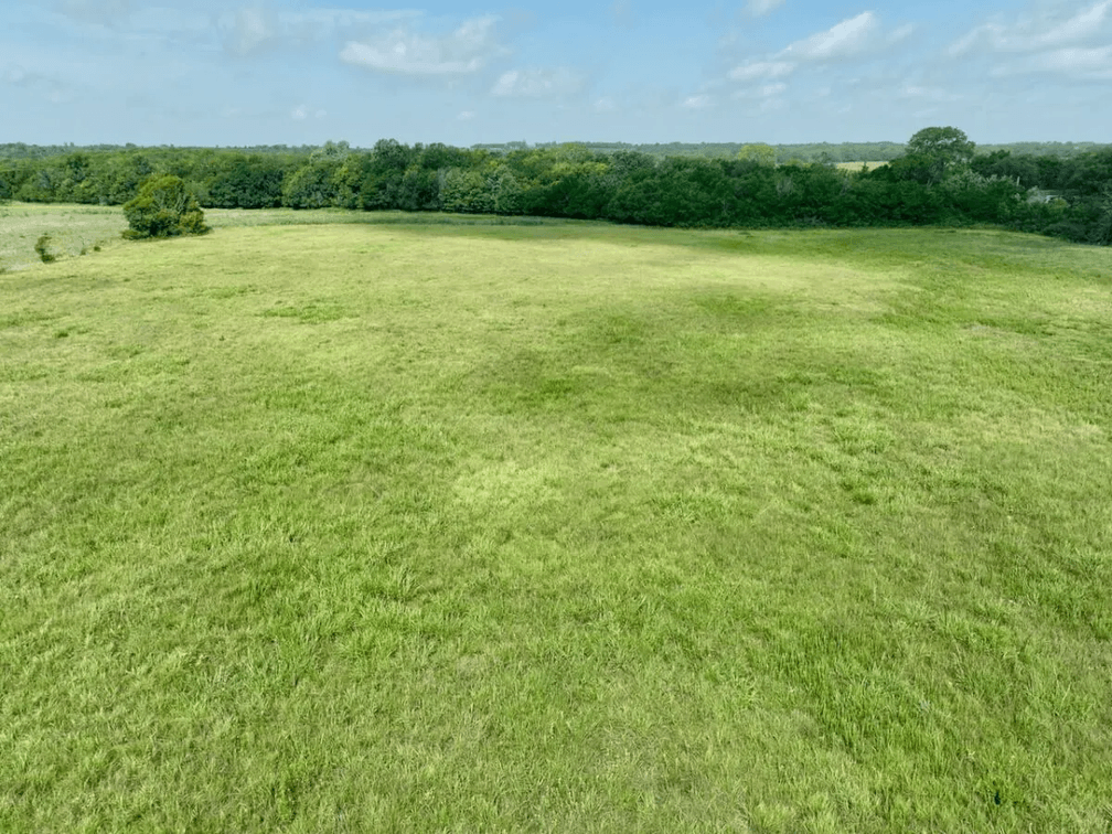 75 Acres Between Madison & Hamilton on HWY 99 in Greenwood County, Kansas photo 8