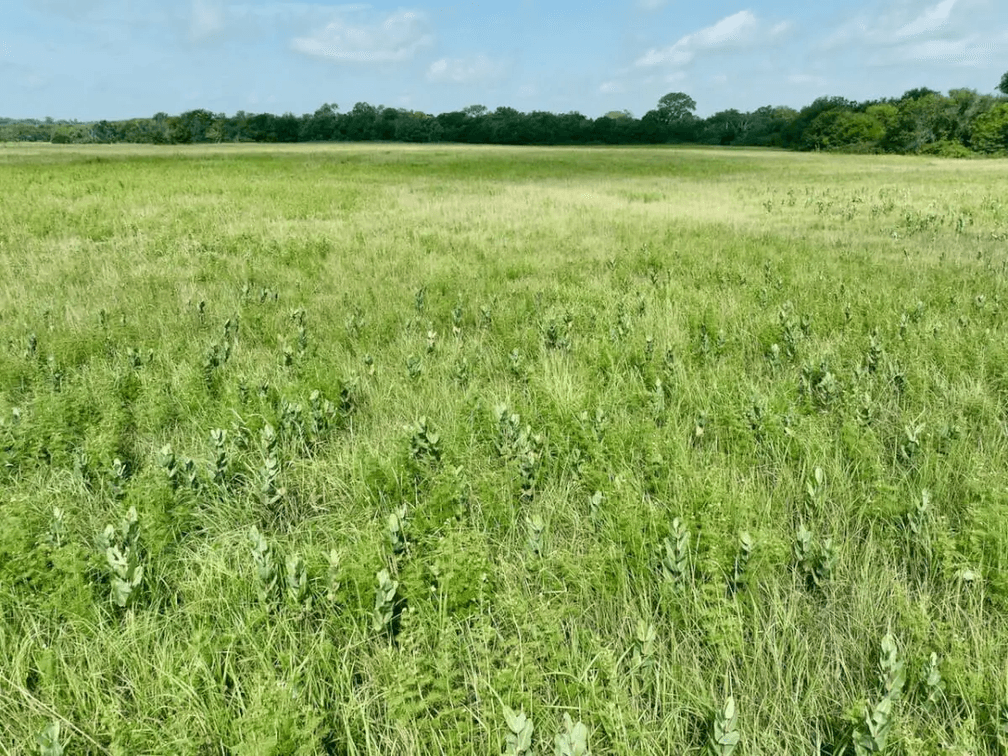 75 Acres Between Madison & Hamilton on HWY 99 in Greenwood County, Kansas photo 9