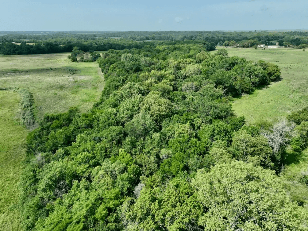 75 Acres Between Madison & Hamilton on HWY 99 in Greenwood County, Kansas photo 10
