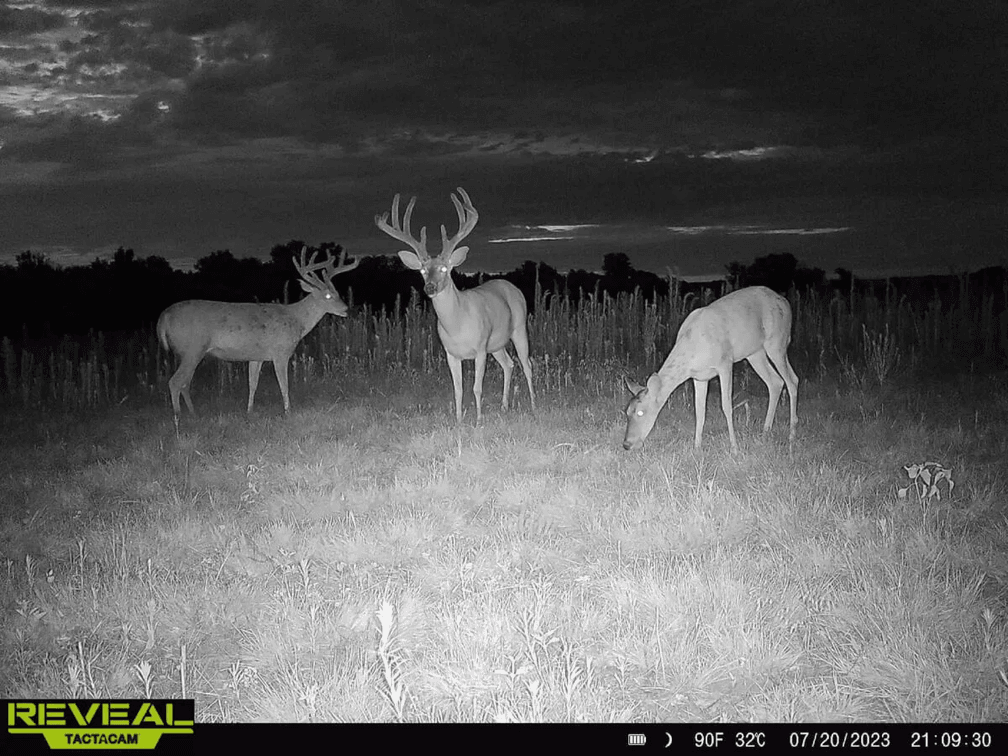 75 Acres Between Madison & Hamilton on HWY 99 in Greenwood County, Kansas photo 1