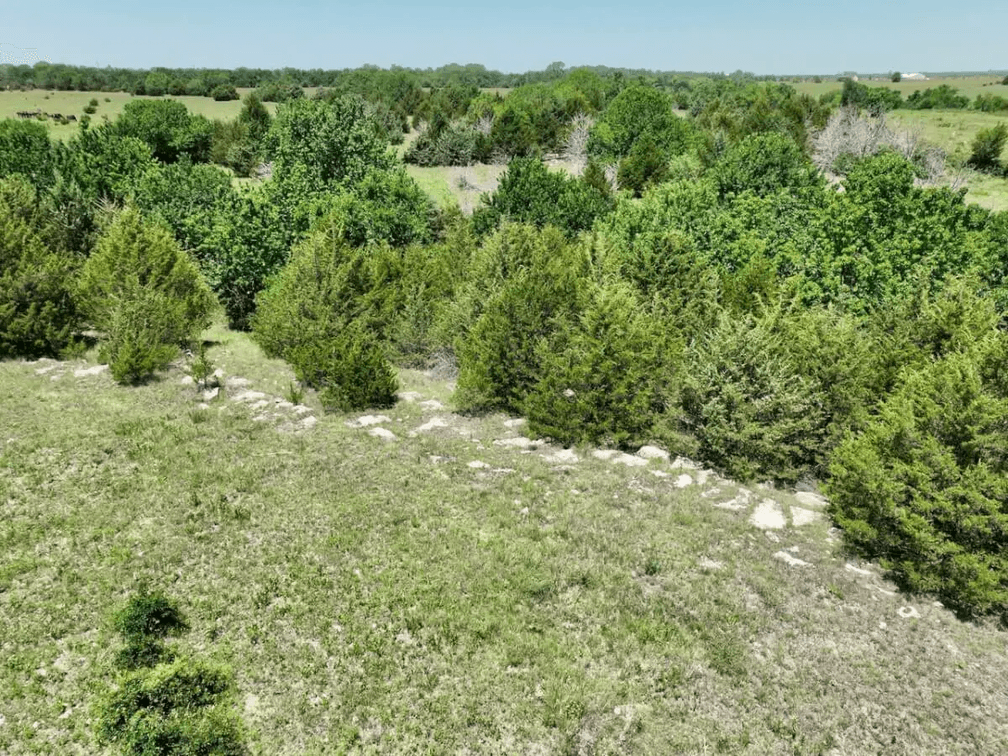 80+- Acres on Indianola Rd. Near Andover in Butler County, Kansas photo 6