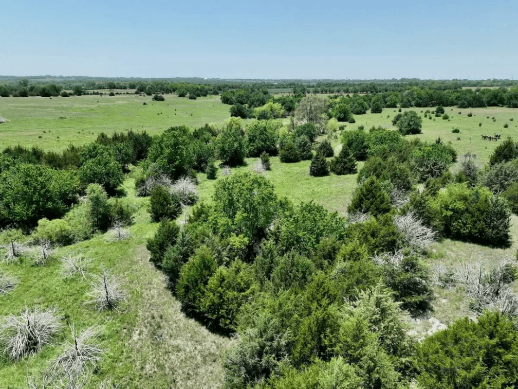 80+- Acres on Indianola Rd. Near Andover in Butler County, Kansas photo 9