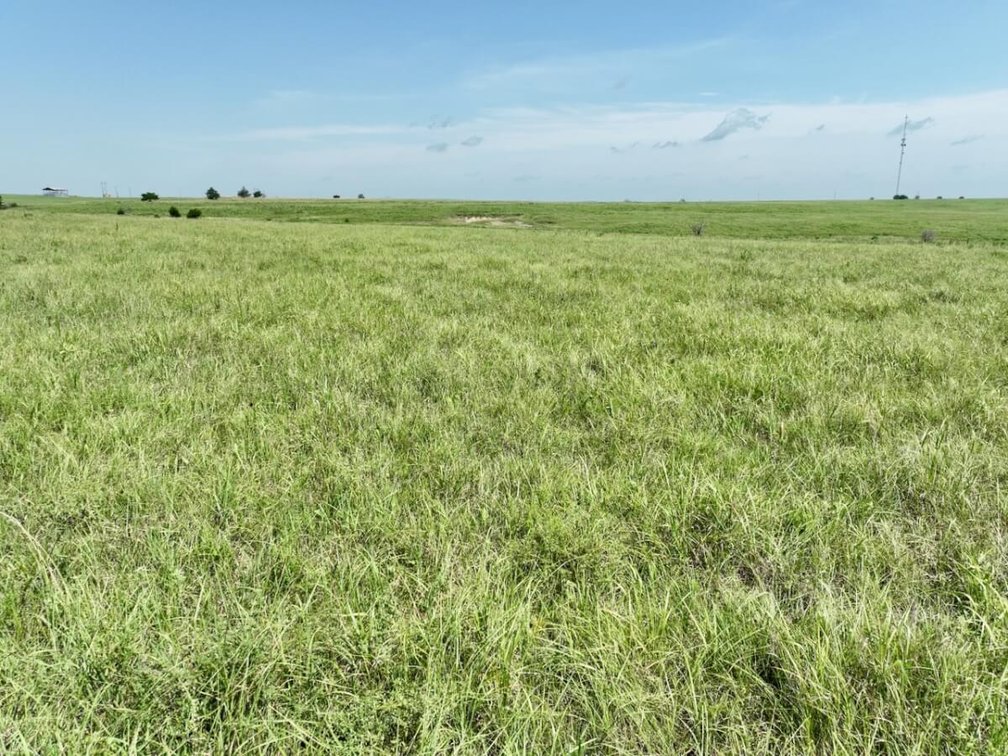 149 Acres Native Flint Hills Pasture North of Eureka, Kansas photo 3