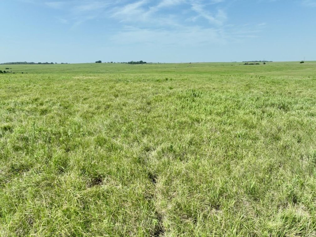 149 Acres Native Flint Hills Pasture North of Eureka, Kansas photo 4