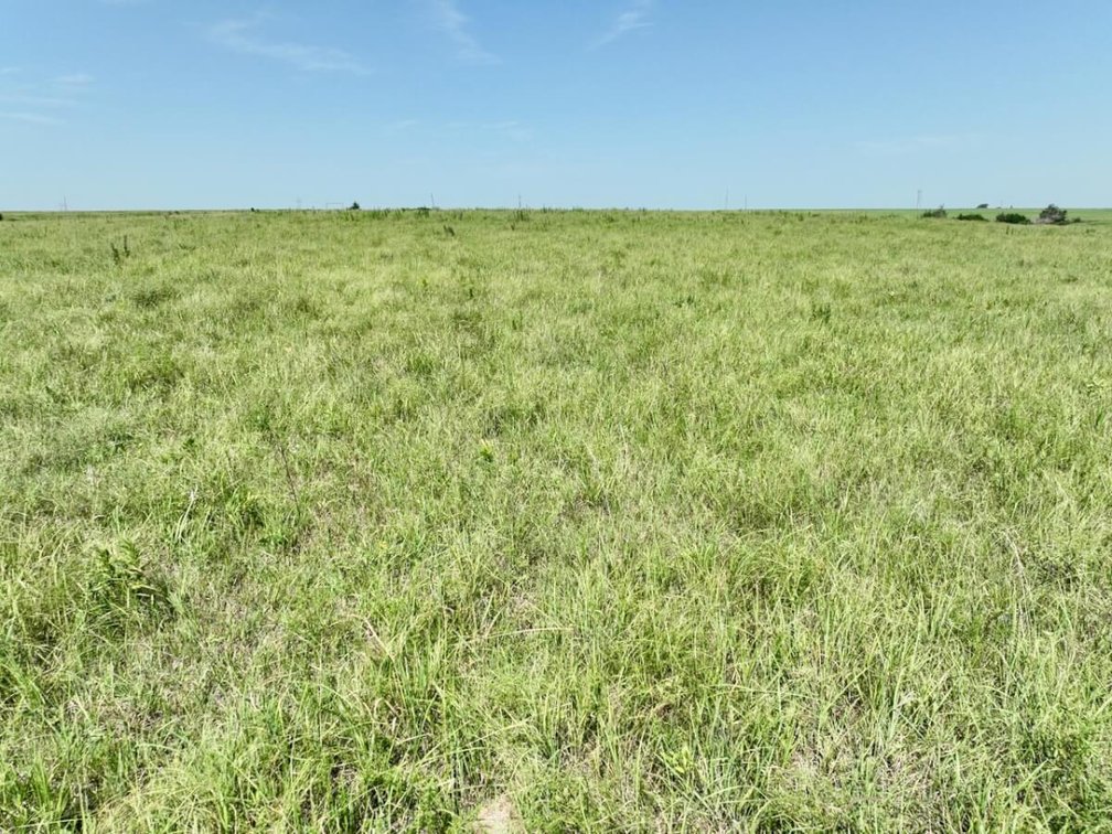 149 Acres Native Flint Hills Pasture North of Eureka, Kansas photo 5