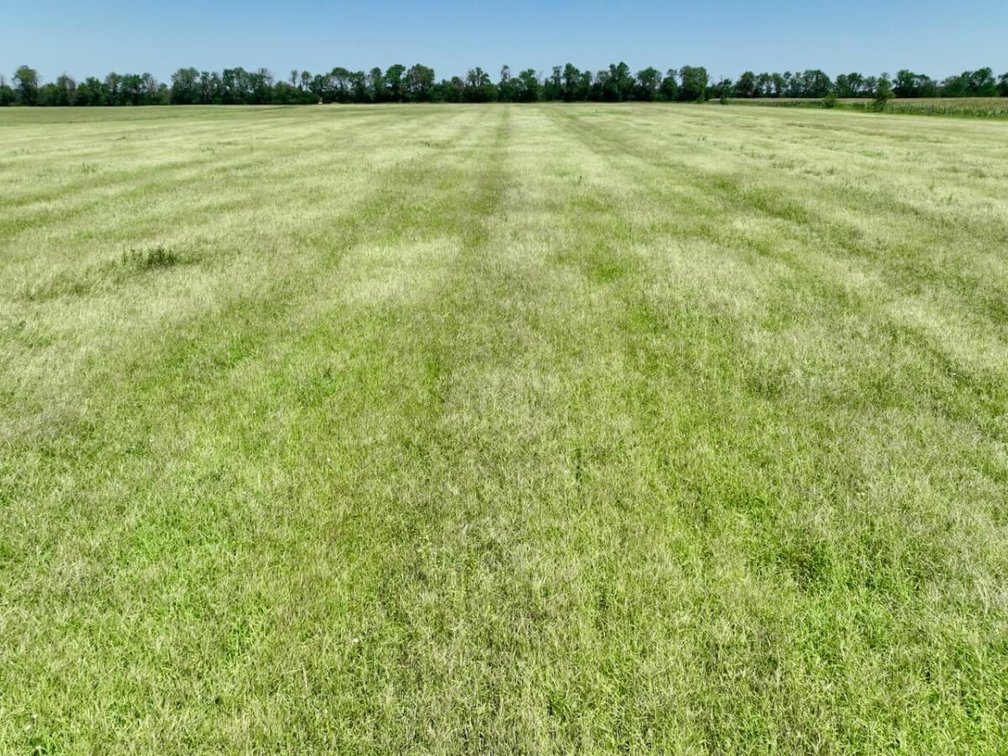 80+- Acres Tillable Farm Ground Between Whitewater & Newton, Harvey County, KS photo 7