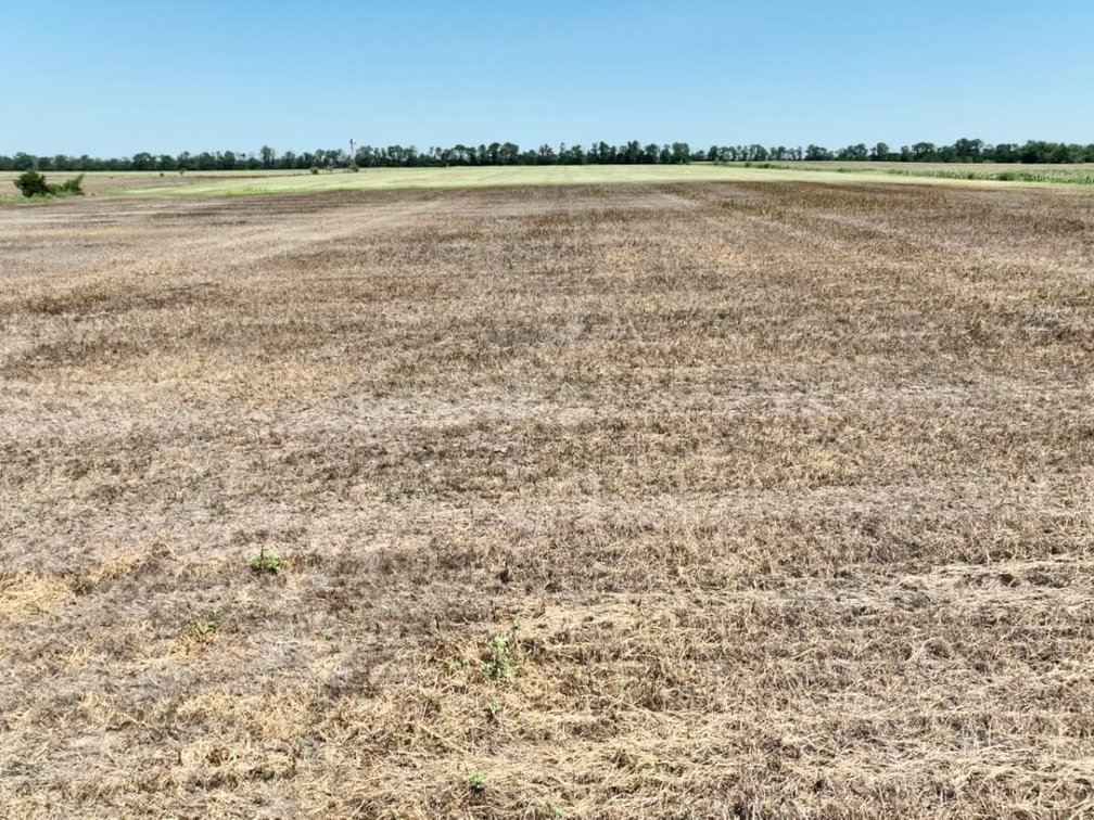 80+- Acres Tillable Farm Ground Between Whitewater & Newton, Harvey County, KS photo 8