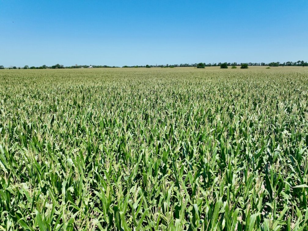 80+- Acres Tillable Farm Ground Between Whitewater & Newton, Harvey County, KS photo 2