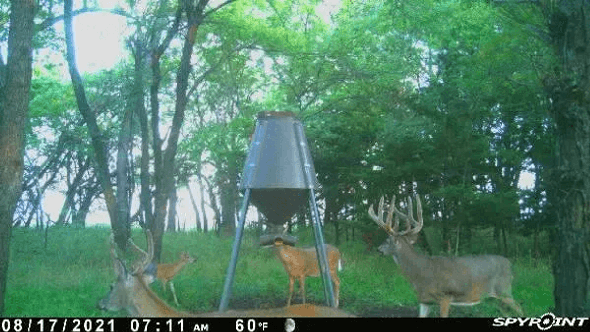 120+- Acres Hunting Land North of Howard in Elk County, Kansas photo 10