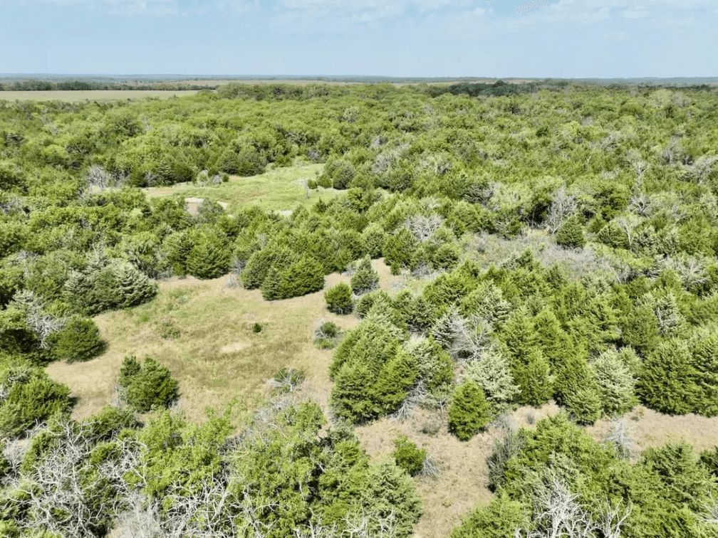 120+- Acres Hunting Land North of Howard in Elk County, Kansas photo 3