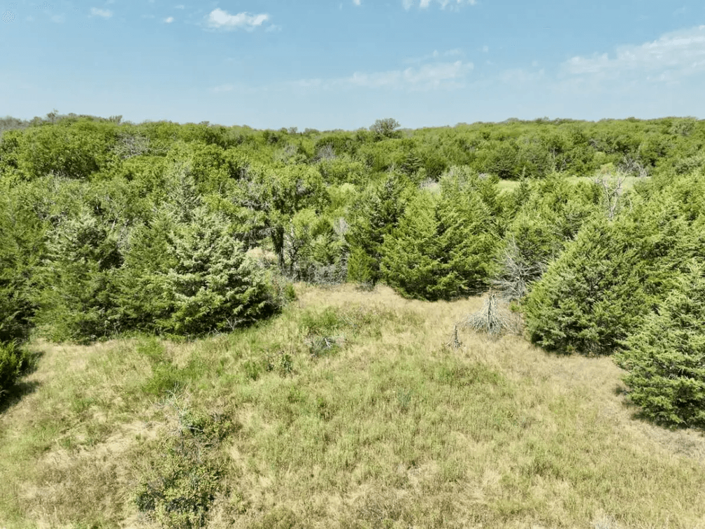 120+- Acres Hunting Land North of Howard in Elk County, Kansas photo 4