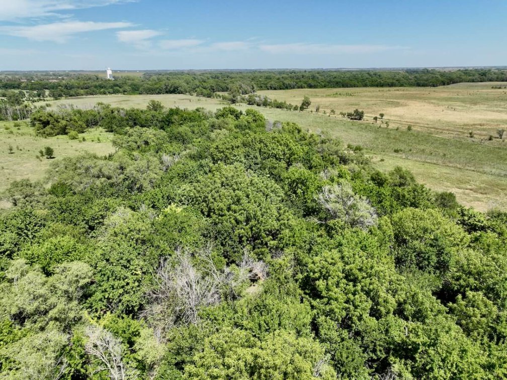 160+- Acres Reno County, Kansas South of Hutchinson – North Fork of the Ninnescah River photo 9