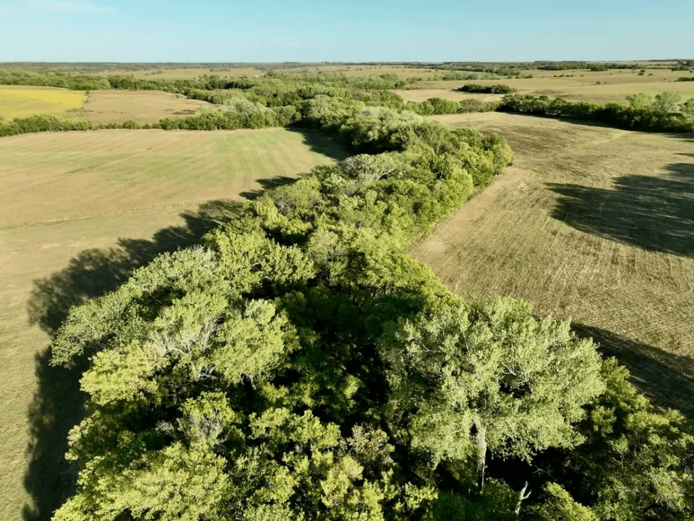 154+- Acres Cowley County, Kansas Land Between Atlanta and Burden photo 9