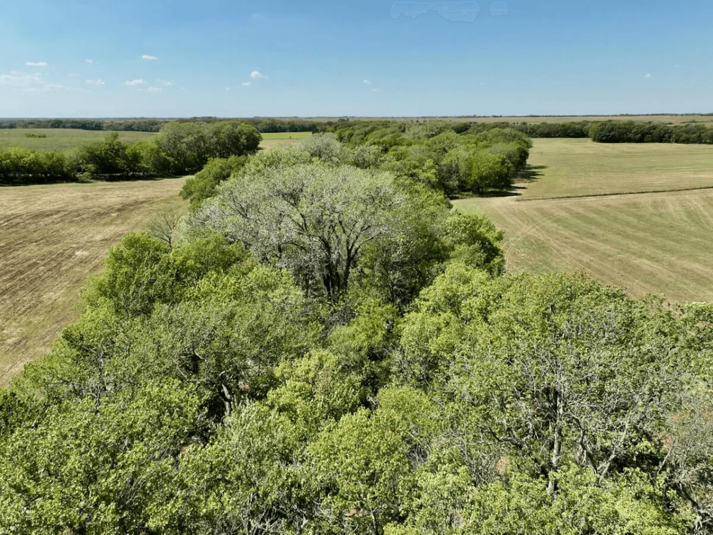 154+- Acres Cowley County, Kansas Land Between Atlanta and Burden photo 10