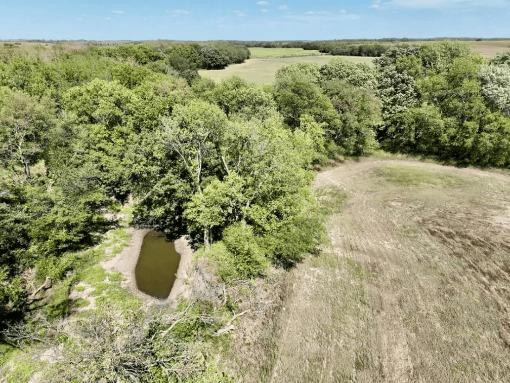 154+- Acres Cowley County, Kansas Land Between Atlanta and Burden photo 6