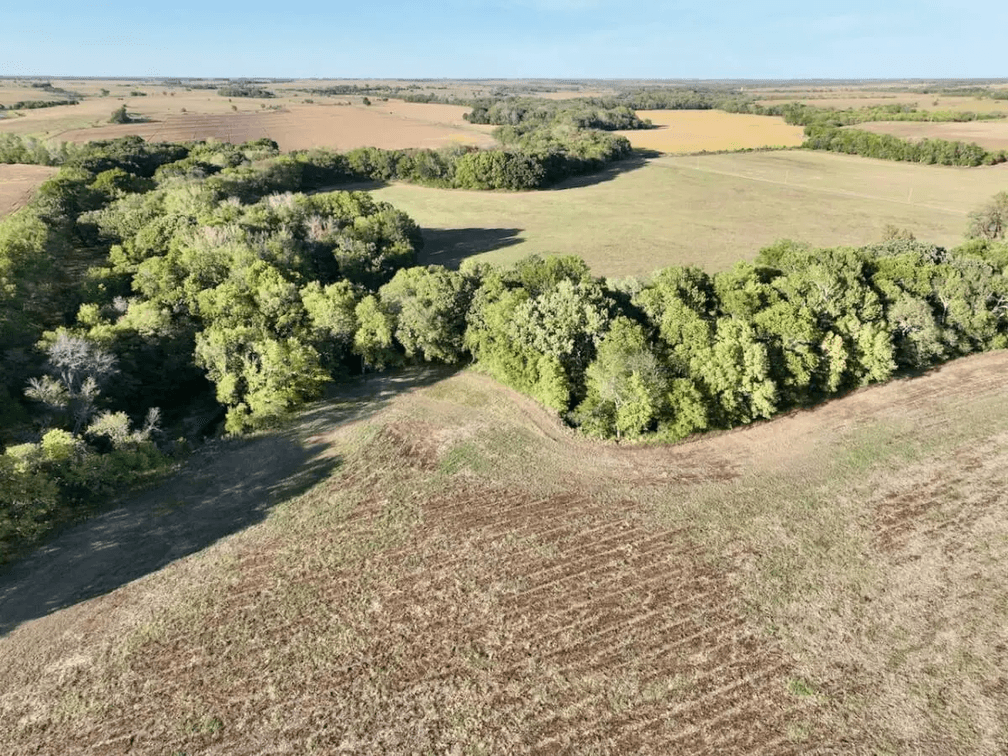 154+- Acres Cowley County, Kansas Land Between Atlanta and Burden photo 8
