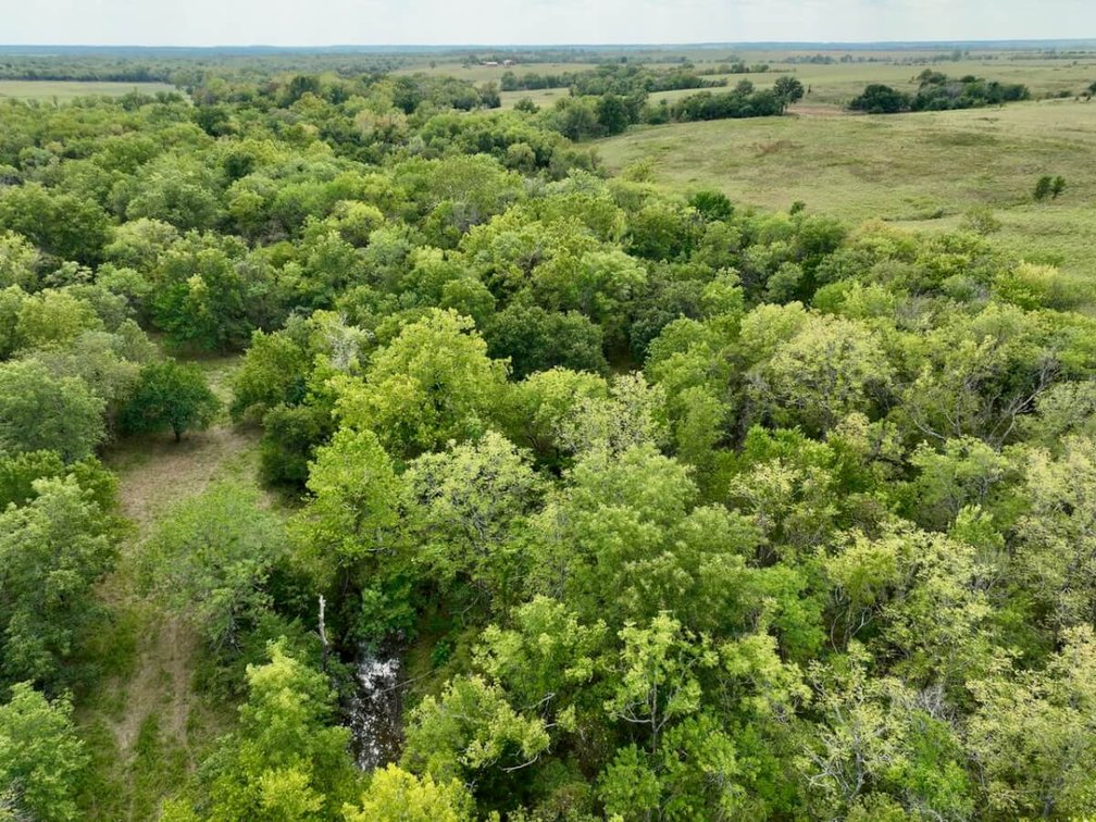 80+- Acres Northwest of Fredonia in Wilson County, Kansas – Heavy Timber, Spring Water, Pasture, & Great Hunting photo 3