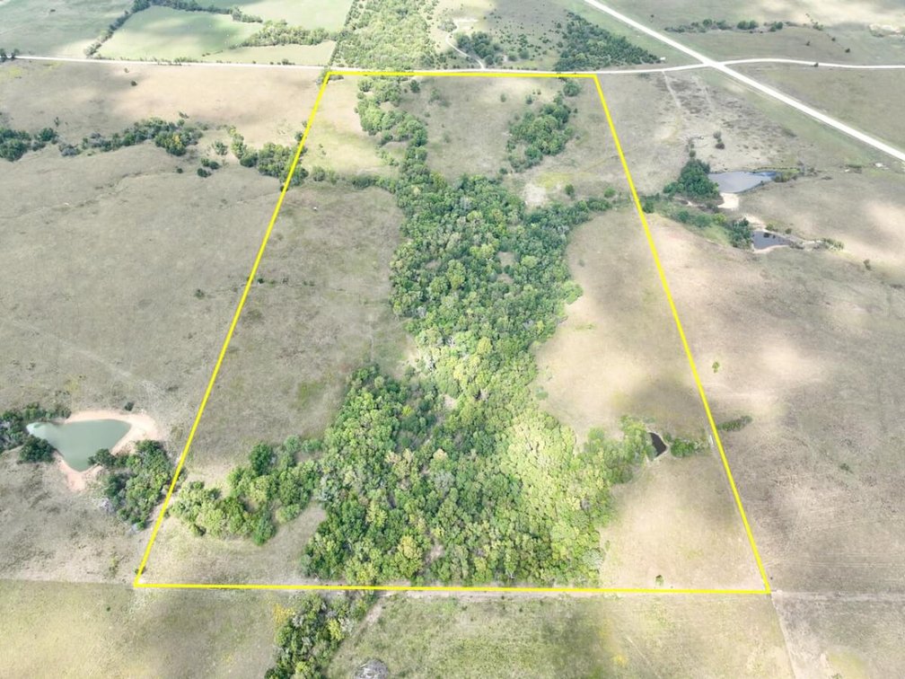 80+- Acres Northwest of Fredonia in Wilson County, Kansas – Heavy Timber, Spring Water, Pasture, & Great Hunting photo 1