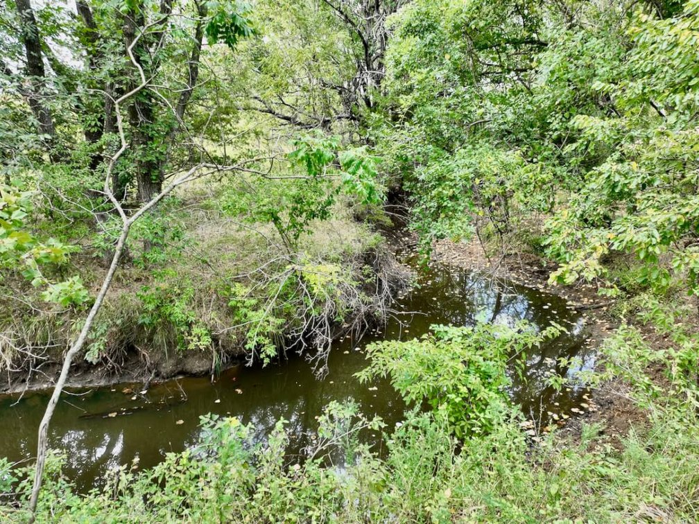 80+- Acres Northwest of Fredonia in Wilson County, Kansas – Heavy Timber, Spring Water, Pasture, & Great Hunting photo 6