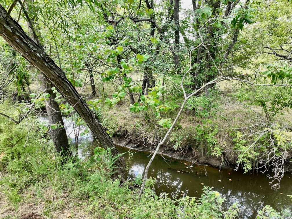 80+- Acres Northwest of Fredonia in Wilson County, Kansas – Heavy Timber, Spring Water, Pasture, & Great Hunting photo 7