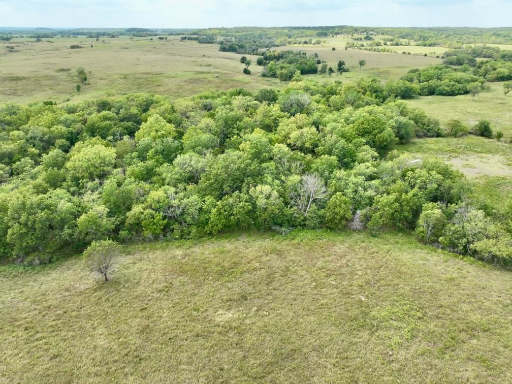 80+- Acres Northwest of Fredonia in Wilson County, Kansas – Heavy Timber, Spring Water, Pasture, & Great Hunting photo 4
