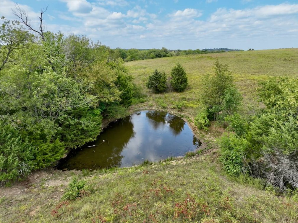 80+- Acres Northwest of Fredonia in Wilson County, Kansas – Heavy Timber, Spring Water, Pasture, & Great Hunting photo 8