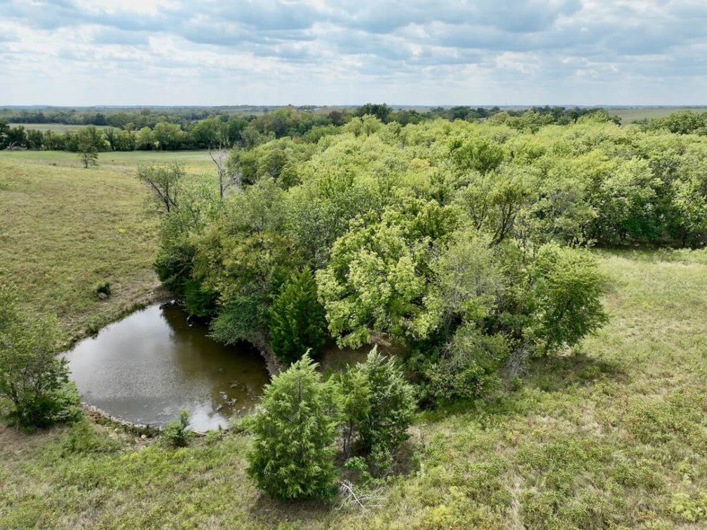 80+- Acres Northwest of Fredonia in Wilson County, Kansas – Heavy Timber, Spring Water, Pasture, & Great Hunting photo 9
