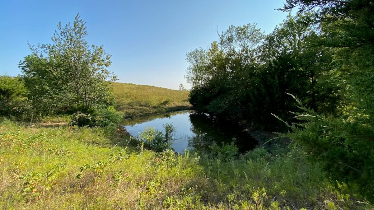 80+- Acres Northwest of Fredonia in Wilson County, Kansas – Heavy Timber, Spring Water, Pasture, & Great Hunting photo 10