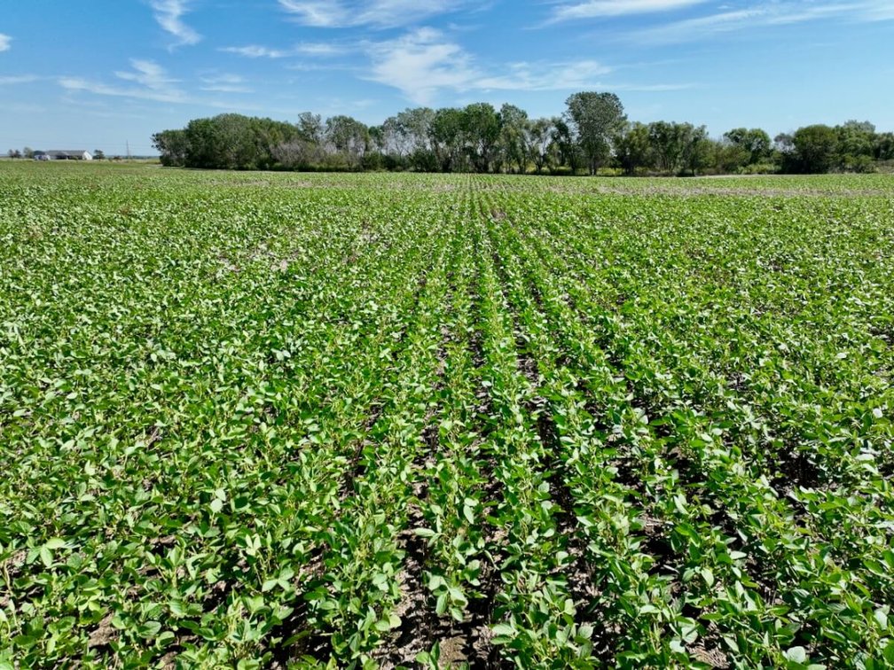 120+- Acres South of Conway Springs in Sumner County, Kansas photo 3